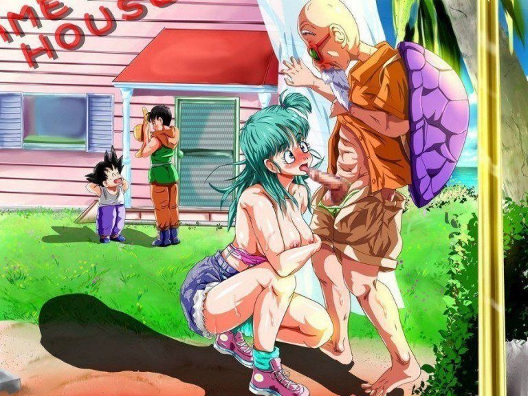 Dragon Ball Bulma And Roshi