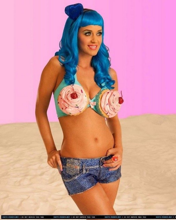 Katy Perry Cupcake Bra Katy Perry Cupcake Bra