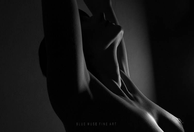 Black White Fine Art Nudes Black White Fine Art Nudes