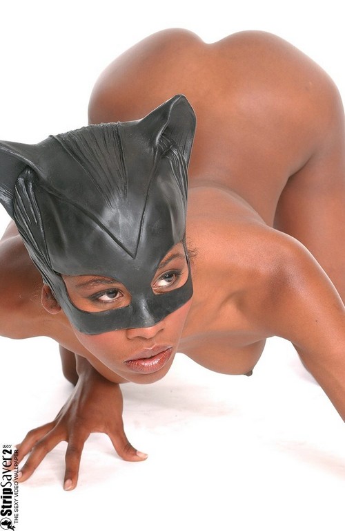 Catwoman Black Cat Porn Catwoman Black Cat Porn