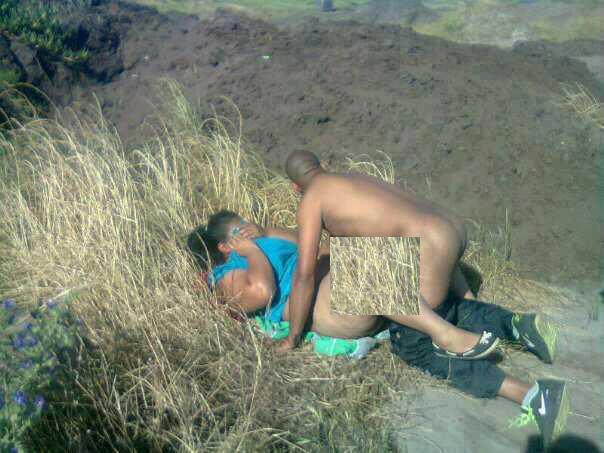 Caught Having Sex In Bush Caught Having Sex In Bush