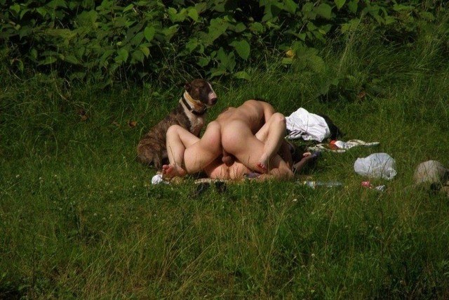 Couples Caught Having Sex Outdoors