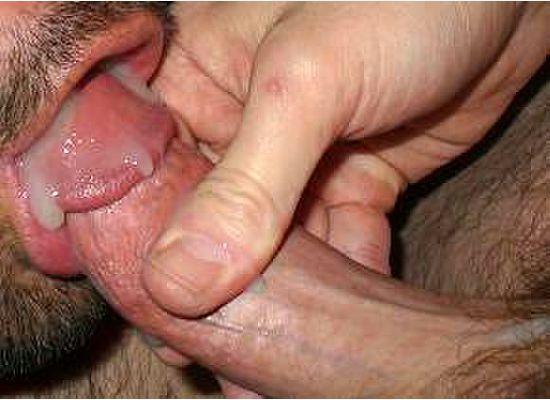 Cum Inside Gay Ass