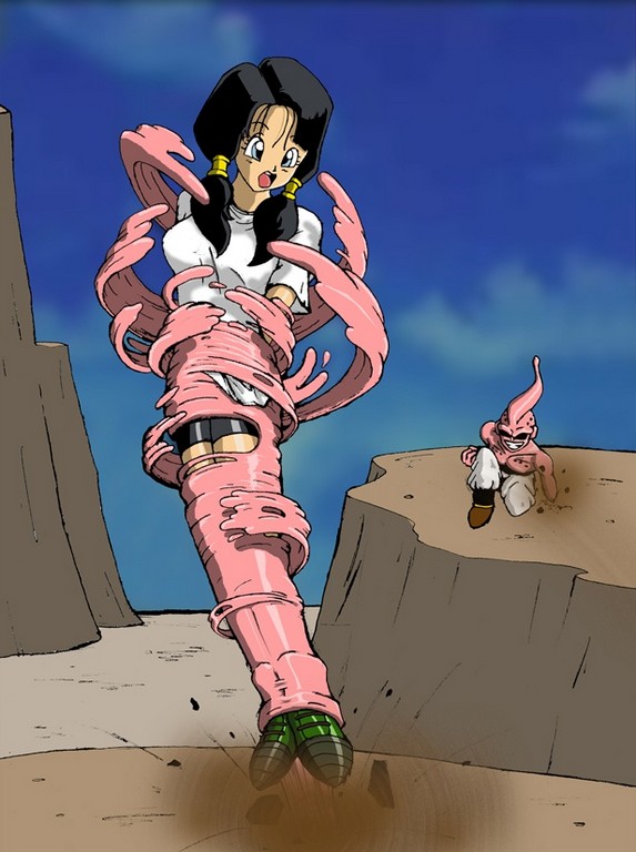 Dragon Ball Z Videl Dragon Ball Z Videl