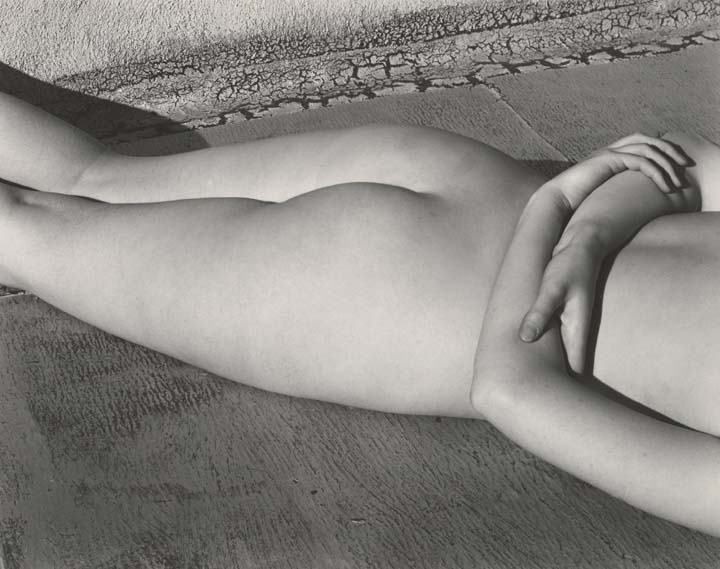 Edward Weston Photography Nude