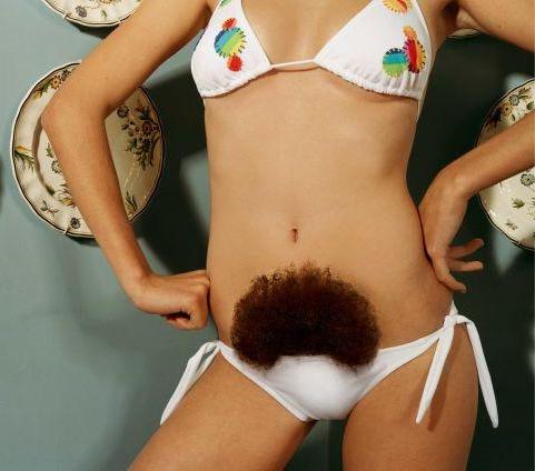 Female Pubic Hair Bush Female Pubic Hair Bush