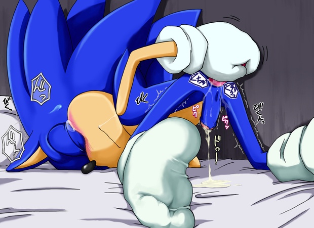 Gay Furry Porn Sonic The Hedgehog