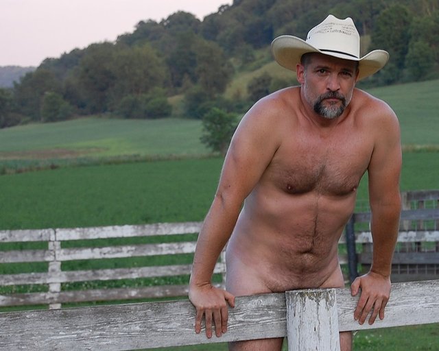 Hairy Gay Cowboy Bears Hairy Gay Cowboy Bears