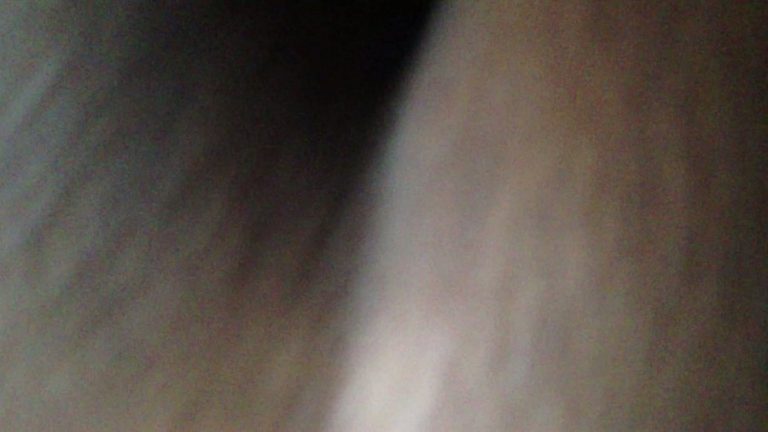 Haitian Porno Free Xxx