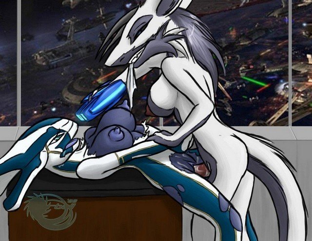 Halo Female Elite Hentai Porn Halo Female Elite Hentai Porn