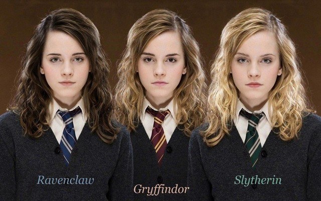 Harry Potter And Hermione Granger
