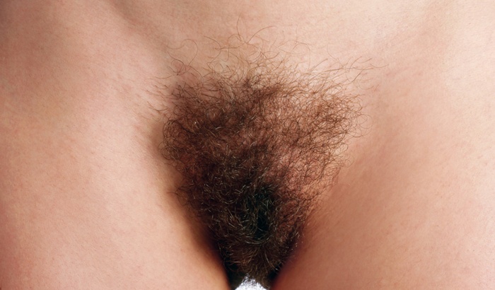 Italian Calendar Hairy Pussy Italian Calendar Hairy Pussy