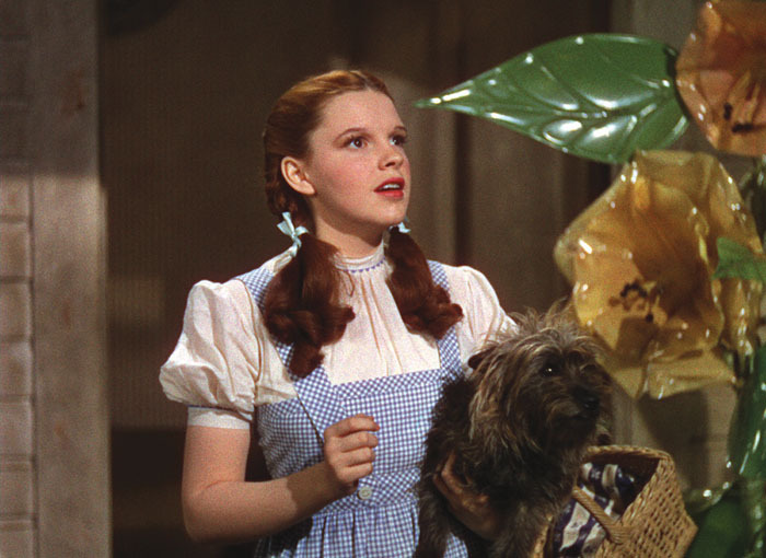 Judy Garland Wizard Of Oz Judy Garland Wizard Of Oz
