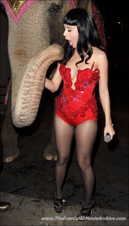 Katy Perry Elephant Katy Perry Elephant