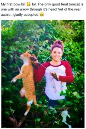 Kristen Lindsey Bow Arrow Cat Kristen Lindsey Bow Arrow Cat