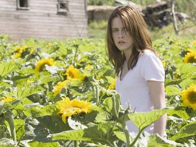 Kristen Stewart In Sunflower Garden Kristen Stewart In Sunflower Garden