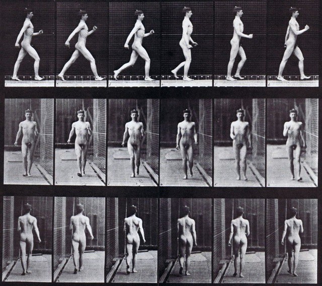 Male Nude Walking Male Nude Walking