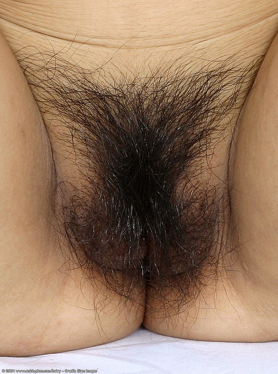 Natural Hairy Beaver Natural Hairy Beaver
