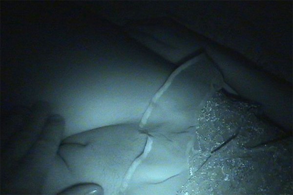 Night Vision Sleeping Pussy Night Vision Sleeping Pussy