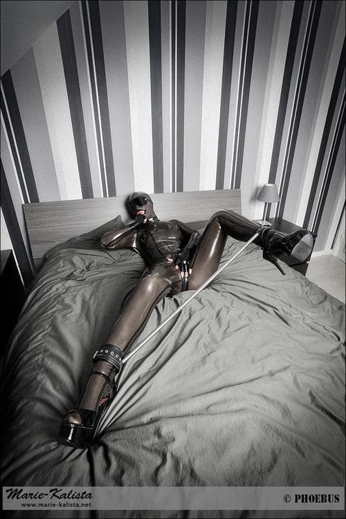 Pandora Deluxe Latex