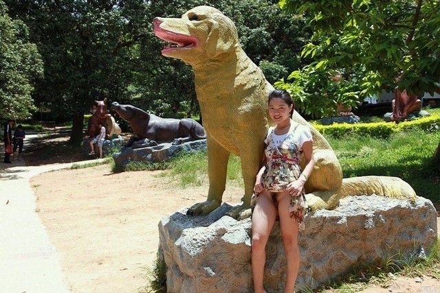 Pussy Flashing At Amusement Park Pussy Flashing At Amusement Park
