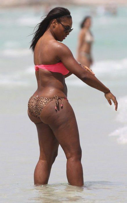 Serena Williams Ass Serena Williams Ass