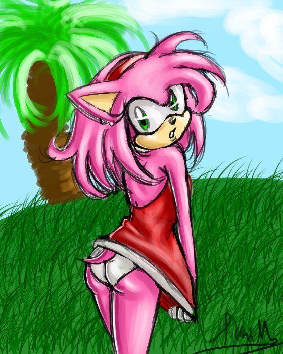 Sonic The Hedgehog Amy Sexy Sonic The Hedgehog Amy Sexy
