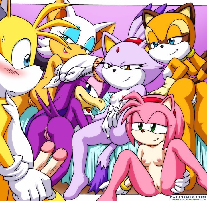 Sonic Xxx Amy Rose And Rouge Sonic Xxx Amy Rose And Rouge