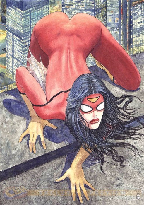 Spider Woman Variant Cover Spider Woman Variant Cover