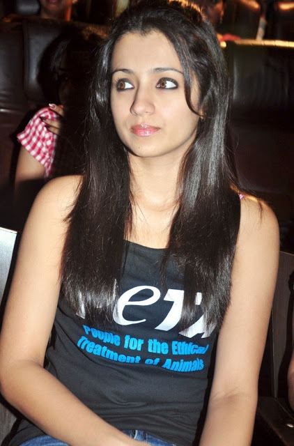 Trisha Latest Cute Pics Trisha Latest Cute Pics