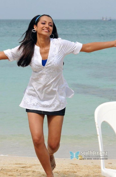 Trisha South Indian Actress Trisha South Indian Actress