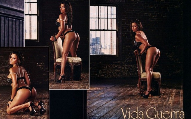 Vida Guerra Different Sexy Poses Vida Guerra Different Sexy Poses