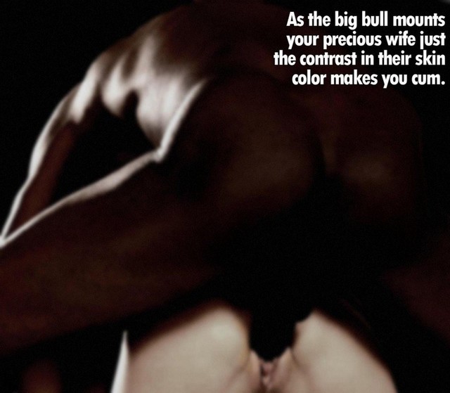 Black Bull White Wives Captions